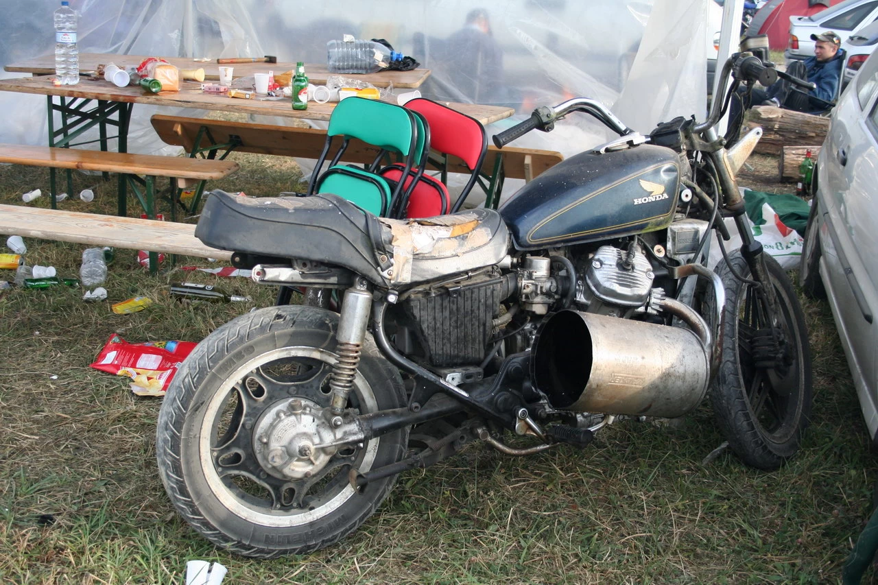 Camp des dingues