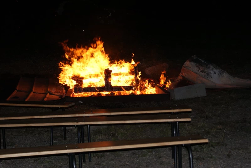 La concentre des Sangliers edition 2008 | image 17
