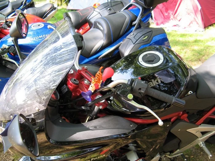 La rencontre Motoplanete 2007 | image 112