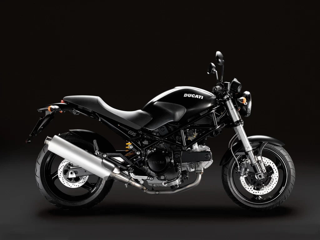 MONSTER 695 | image 10