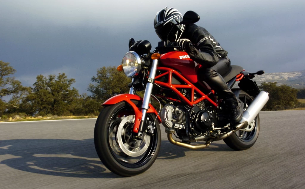 MONSTER 695 | image 8