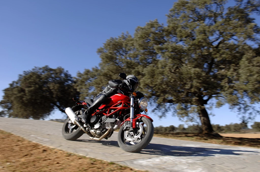 MONSTER 695 | image 9