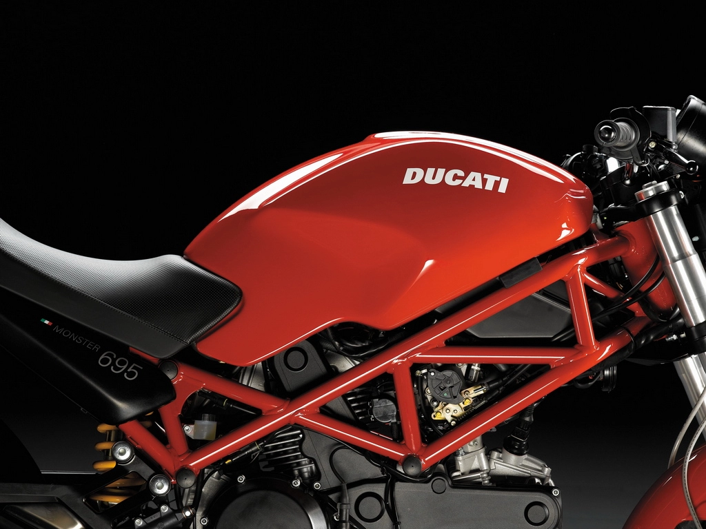 MONSTER 695 | image 3