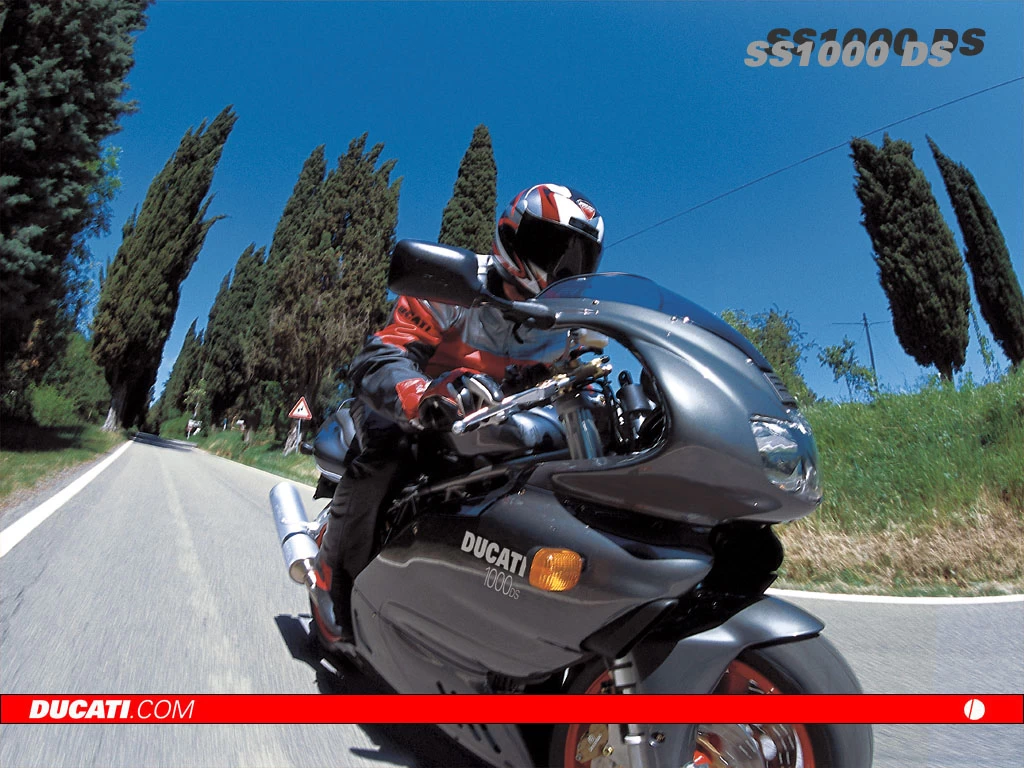 1000 SS | image 10