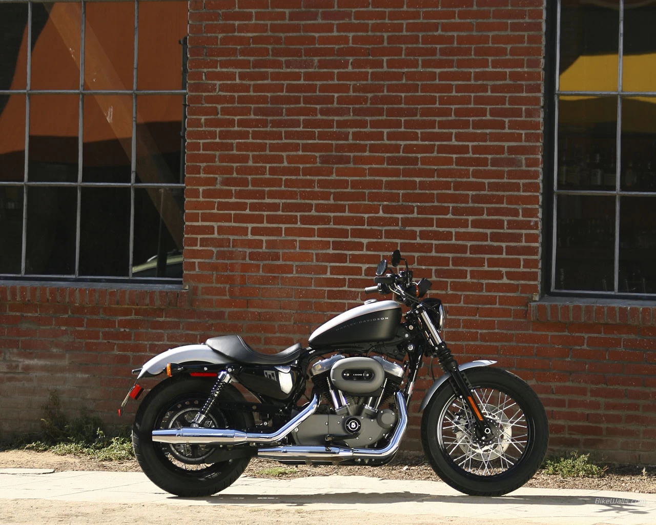 XL 1200 NIGHSTER | image 9