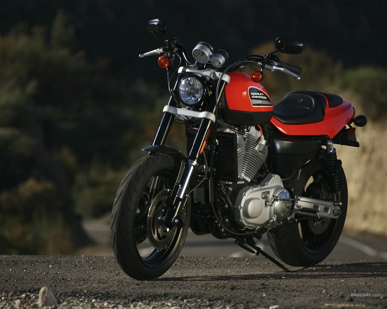 XR 1200 | image 18