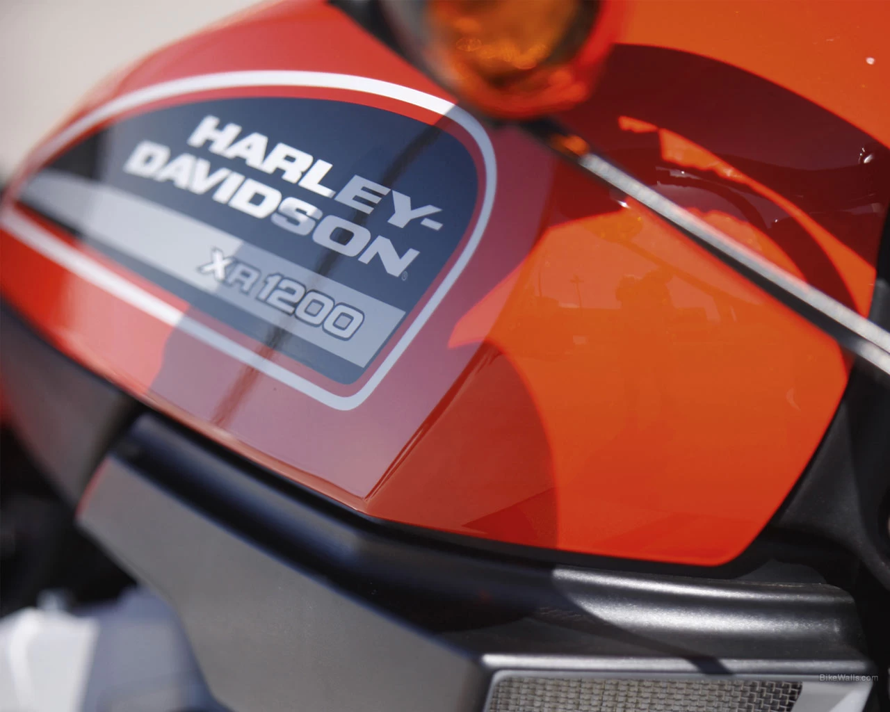 XR 1200 | image 16