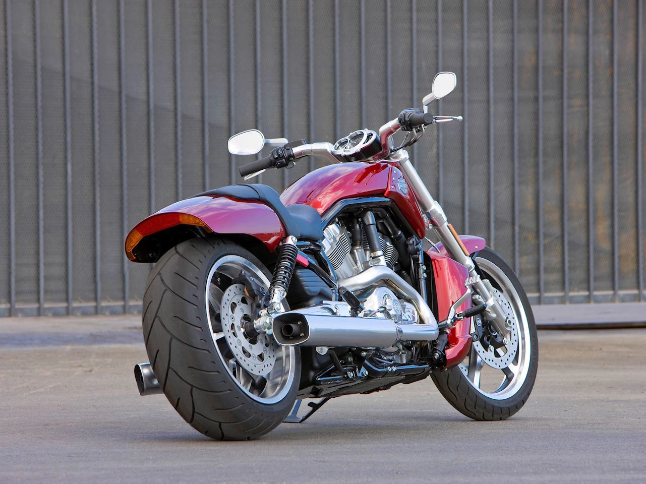 V ROD MUSCLE