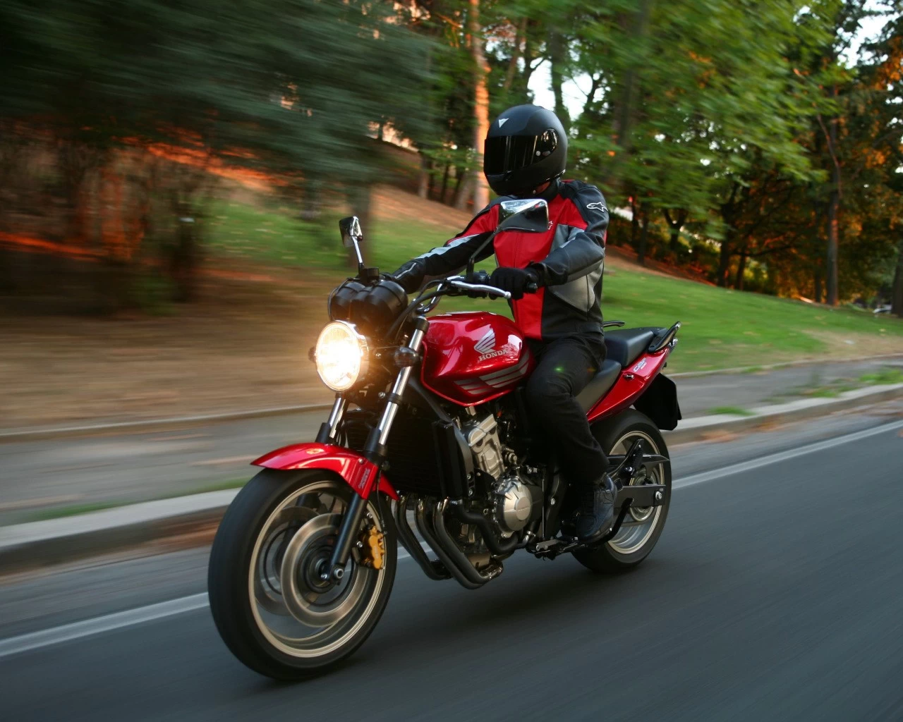 CBF 600 2008 | image 8