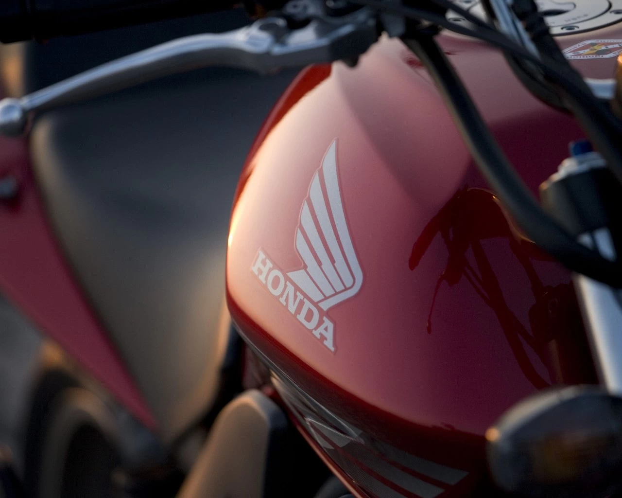 CBF 600 2008 | image 12