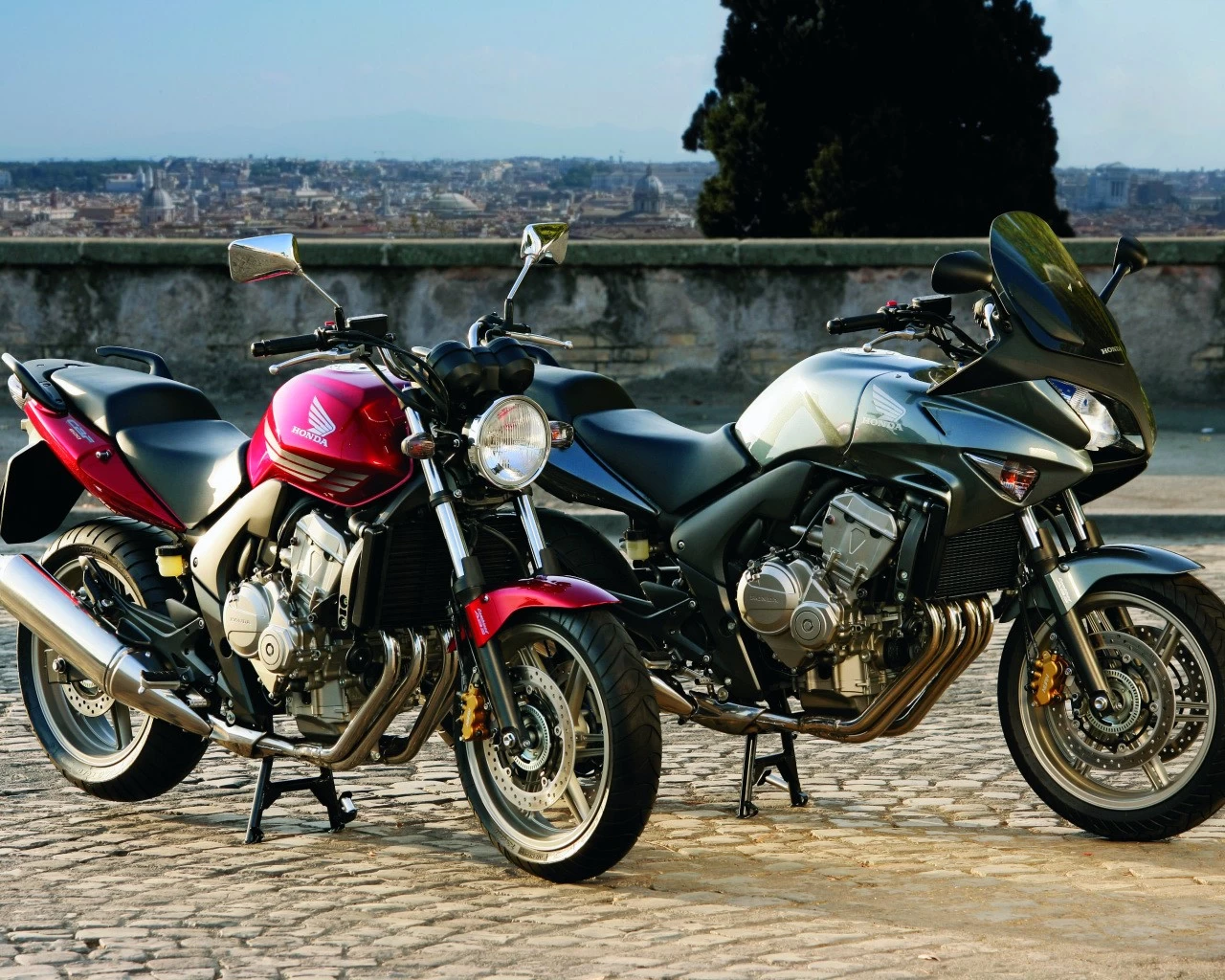 CBF 600 2008