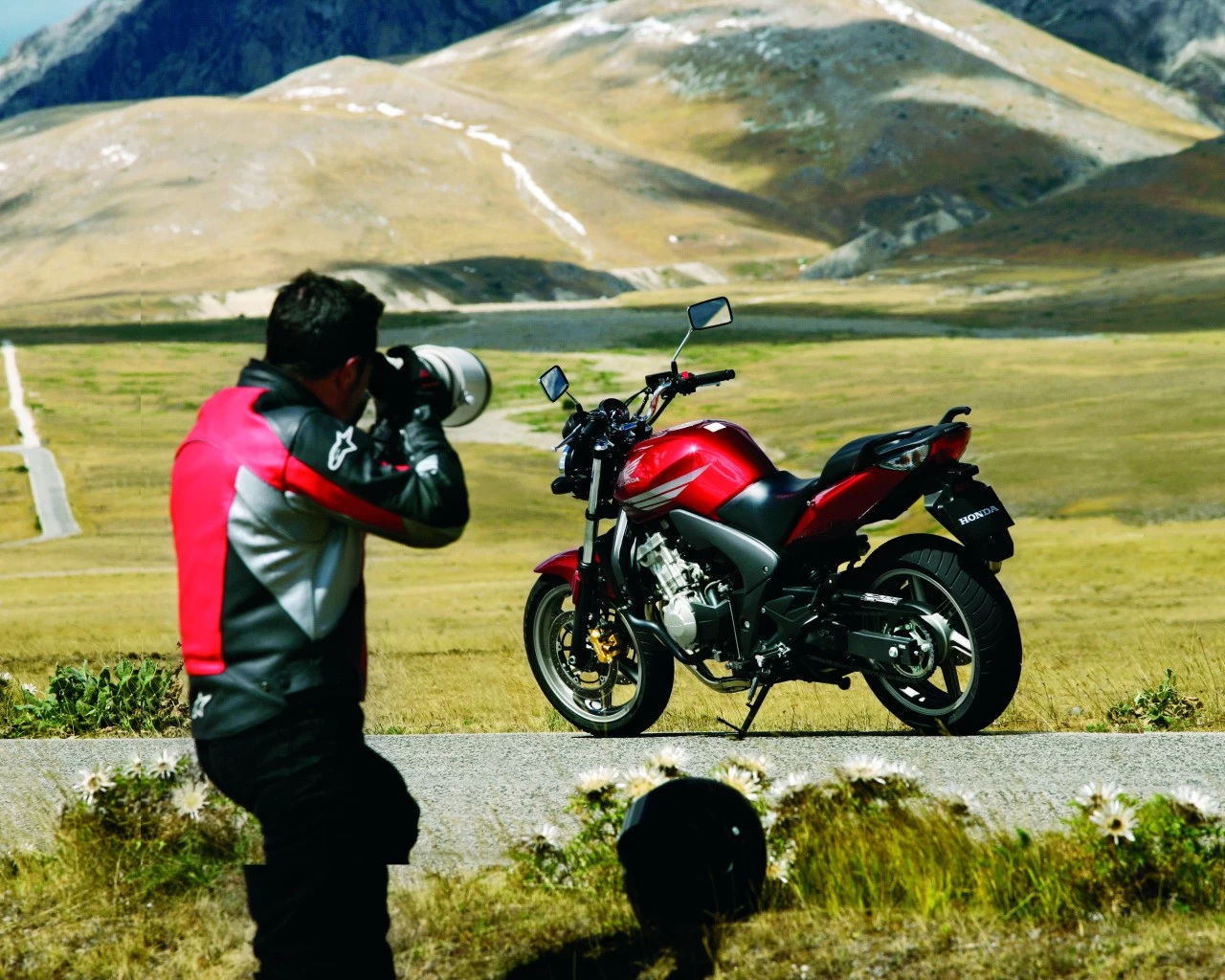 CBF 600 2008 | image 9