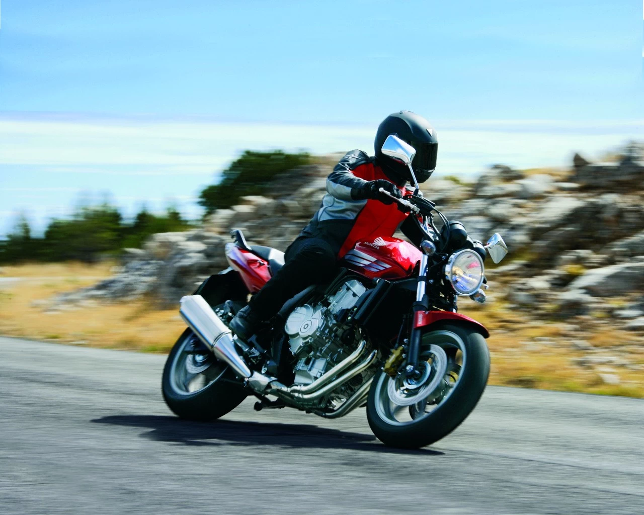 CBF 600 2008 | image 21