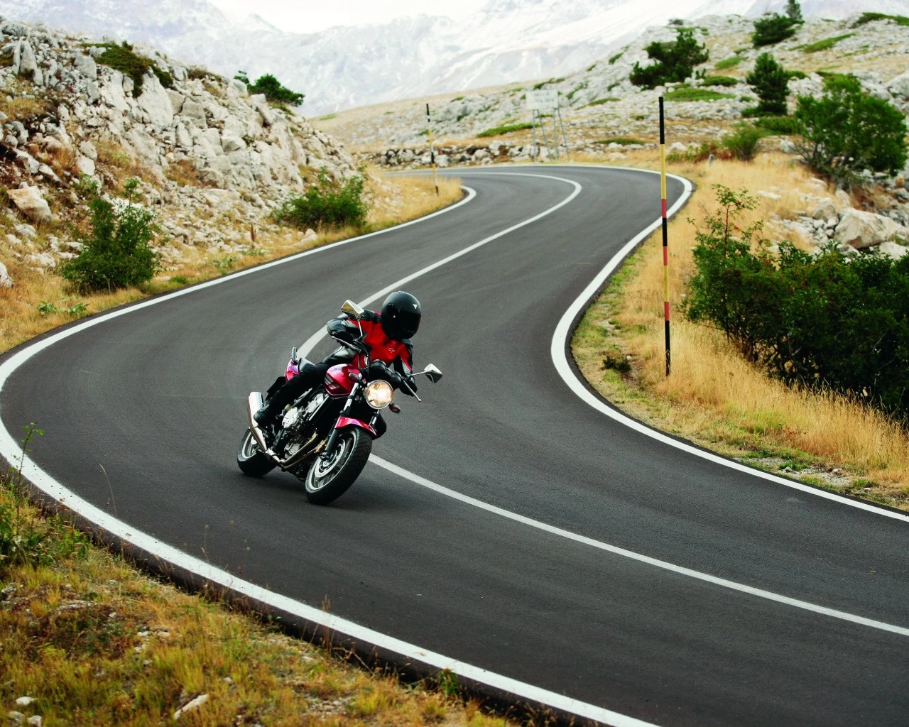 CBF 600 2008 | image 4