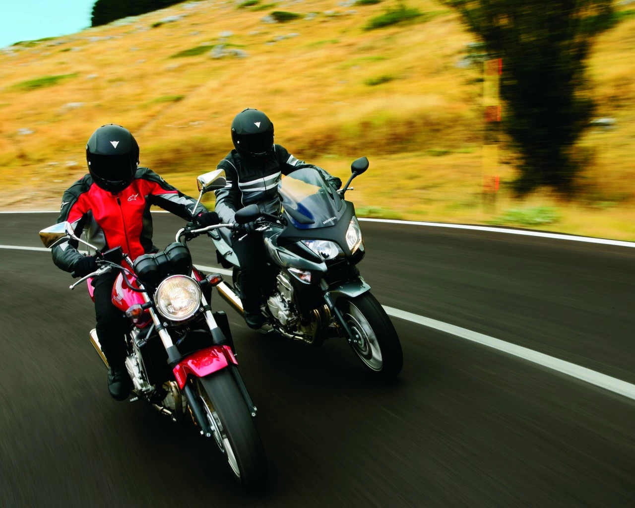 CBF 600 2008 | image 23