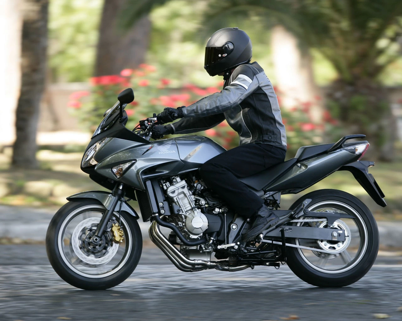 CBF 600 S 2008 | image 9