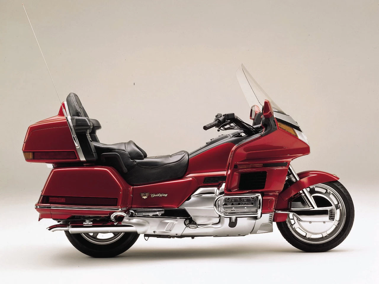 GOLDWING | image 4