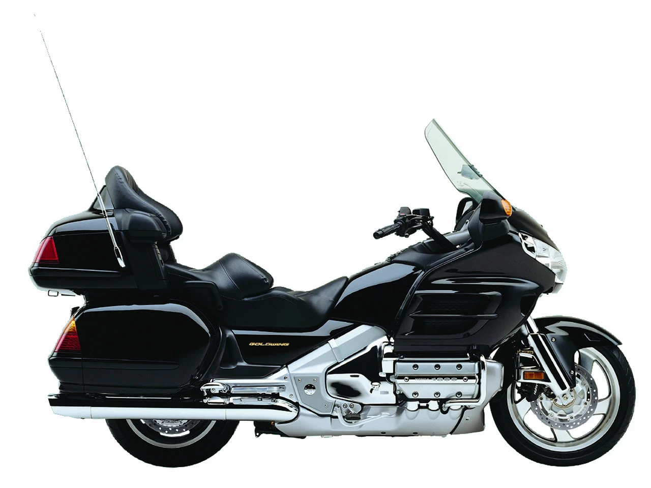 GOLDWING | image 15