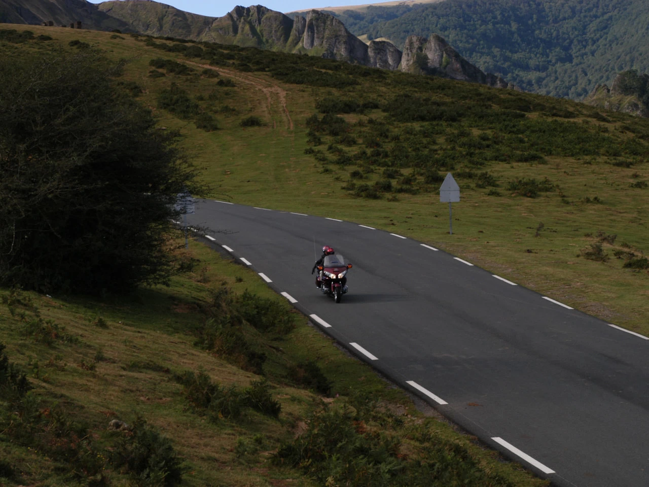 GOLDWING | image 84
