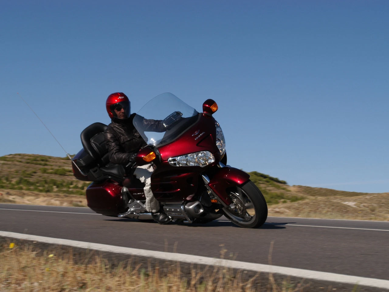 GOLDWING | image 10