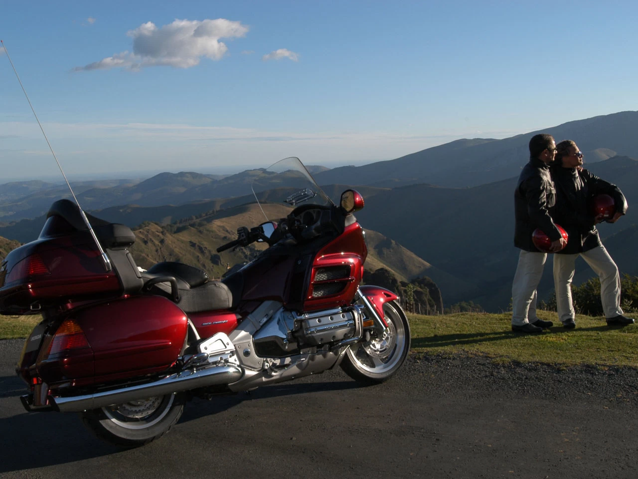GOLDWING | image 16