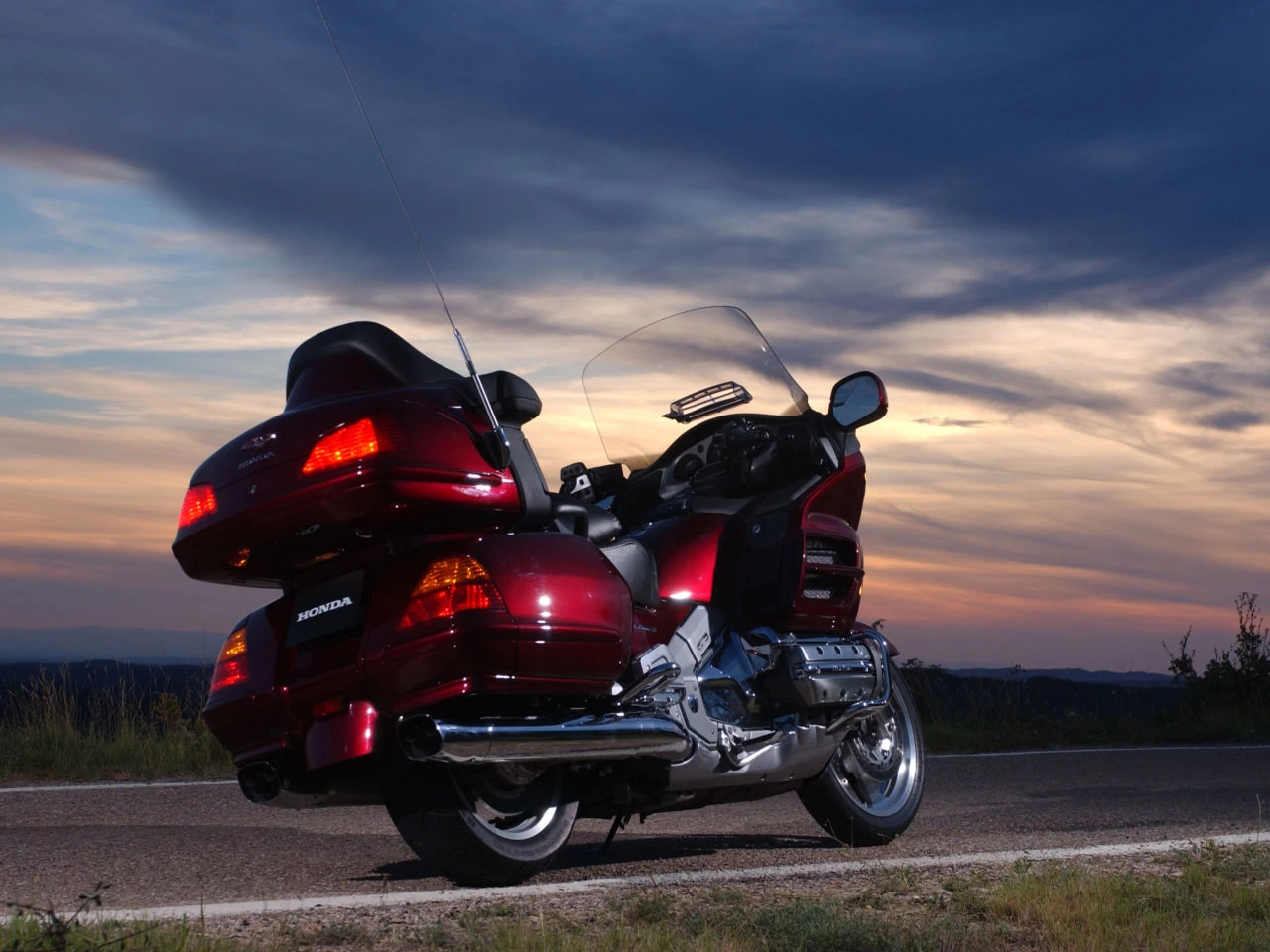 GOLDWING | image 6