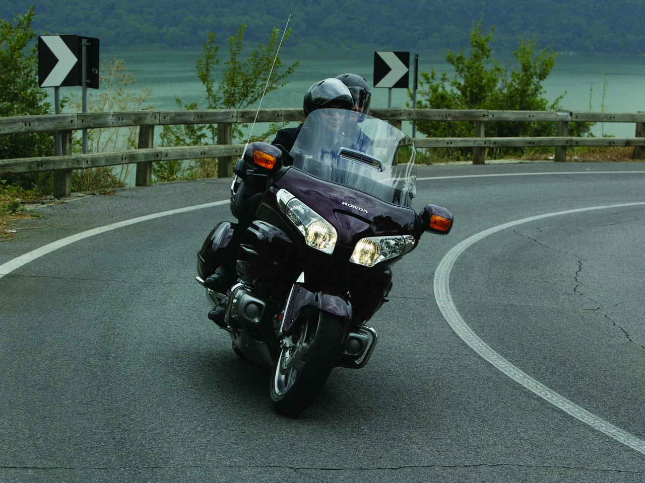 GOLDWING | image 31
