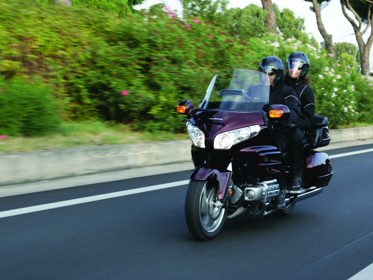 GOLDWING | image 22