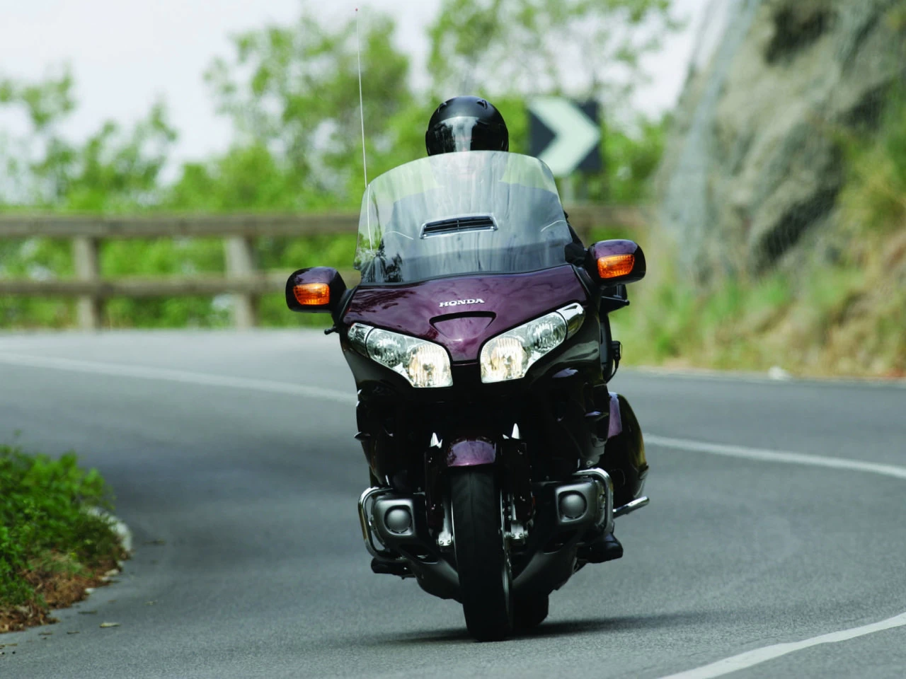 GOLDWING | image 24
