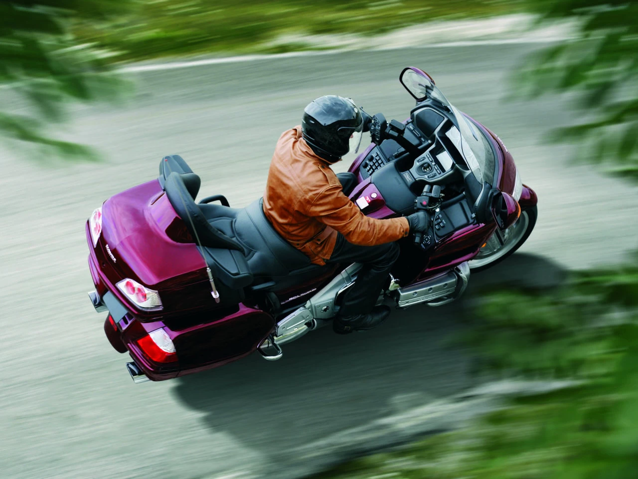 GOLDWING | image 35