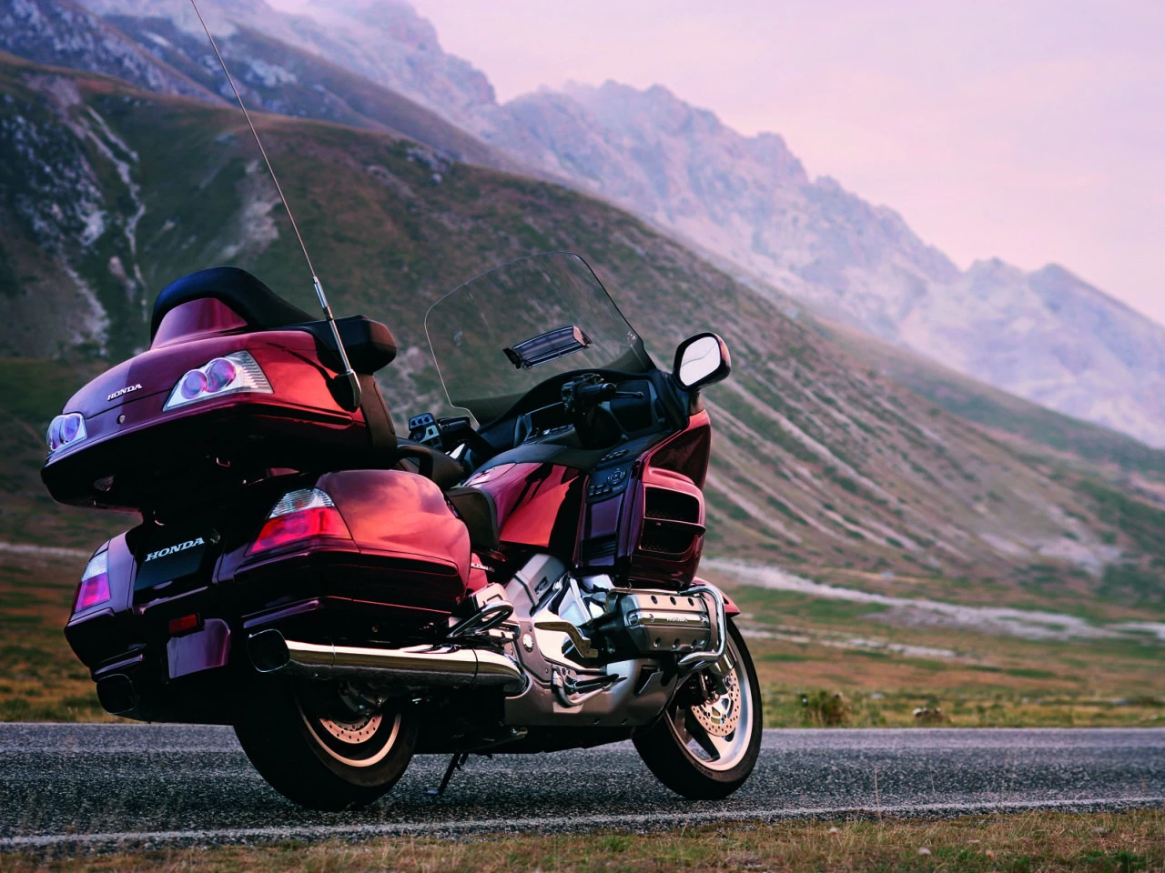 GOLDWING | image 8