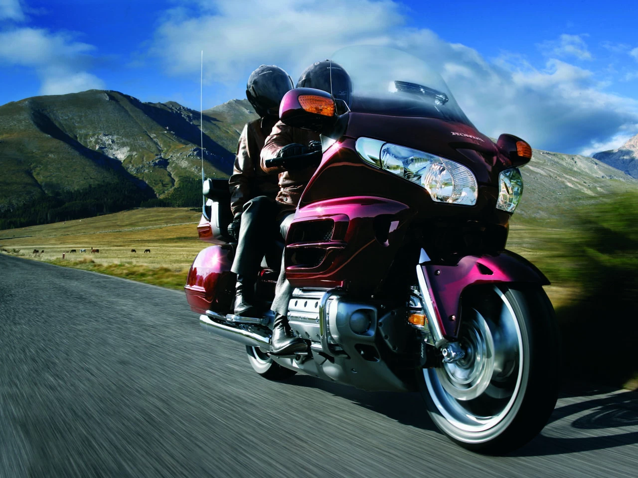 GOLDWING | image 37