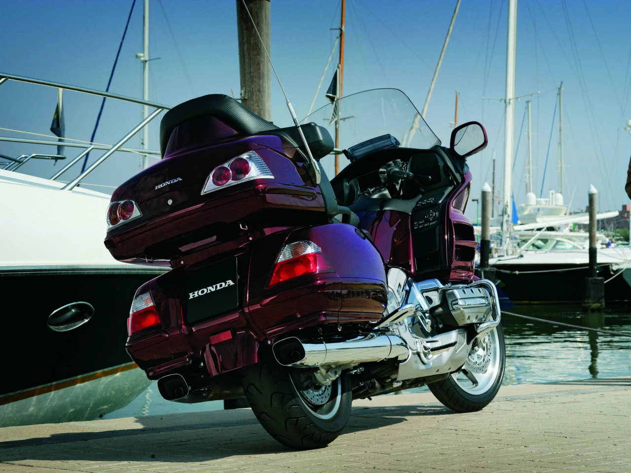 GOLDWING | image 12