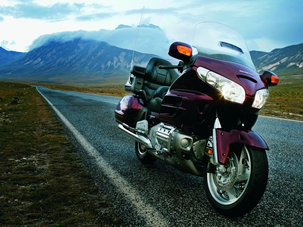 GOLDWING | image 39