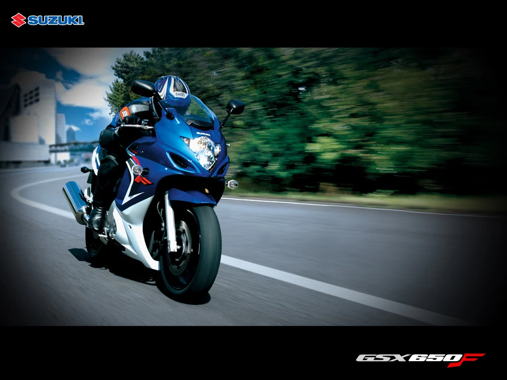 GSX-F 650 | image 1