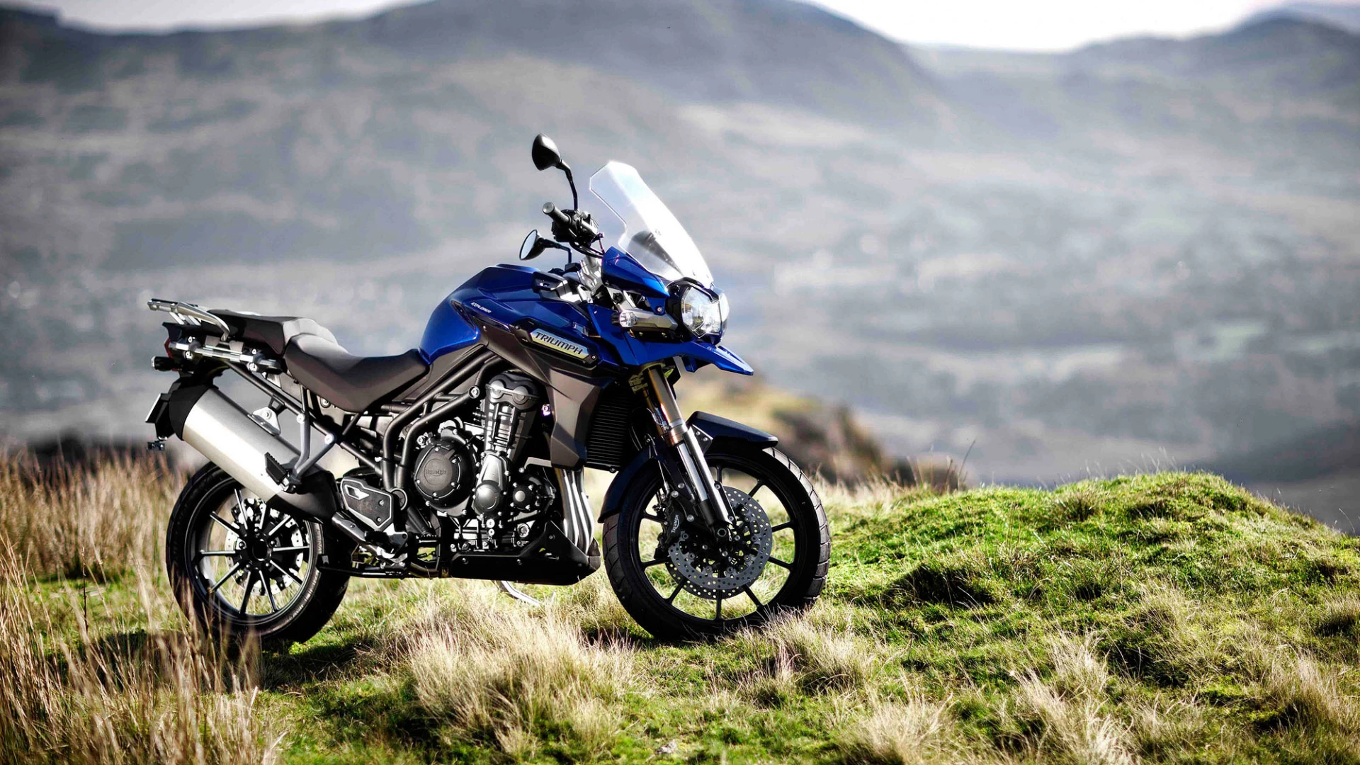 1200 Tiger Explorer | image 3