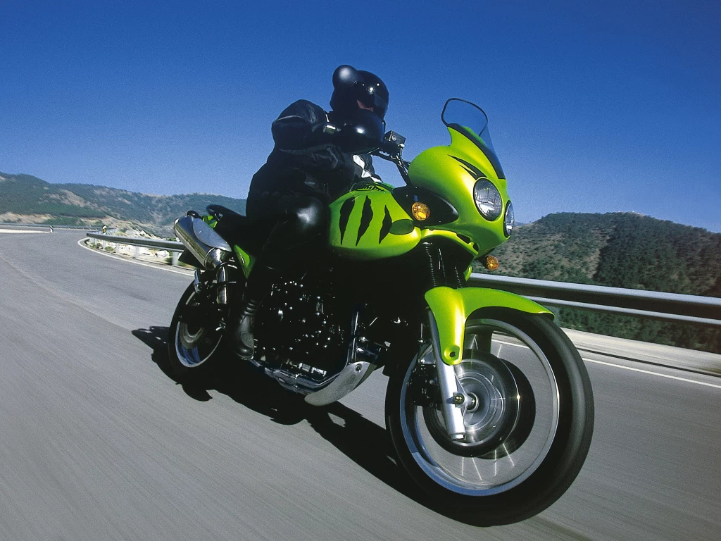955 Tiger | image 10