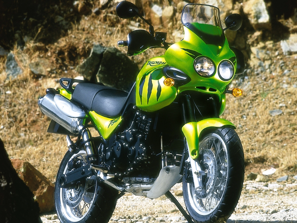 955 Tiger | image 2