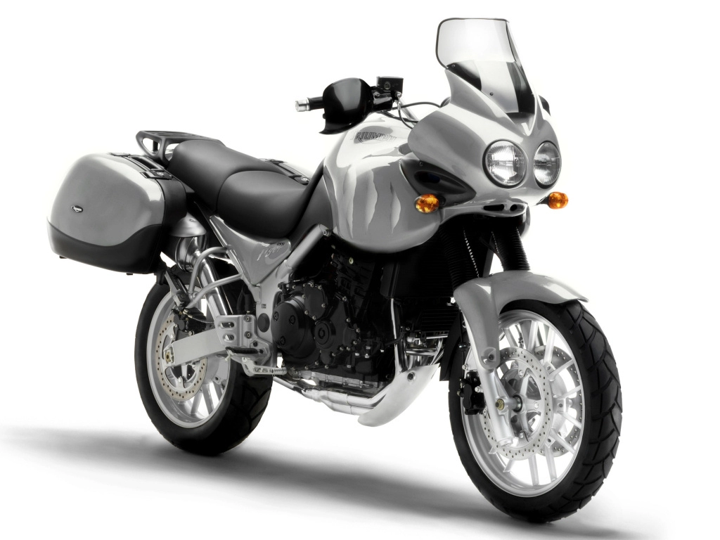 955 Tiger | image 1