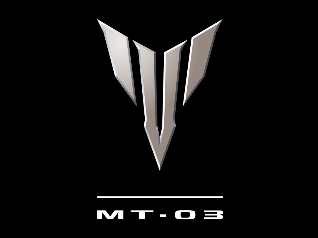 MT-03 | image 8