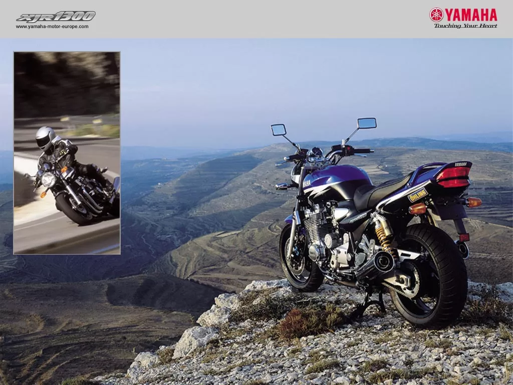 XJR 1300 | image 25
