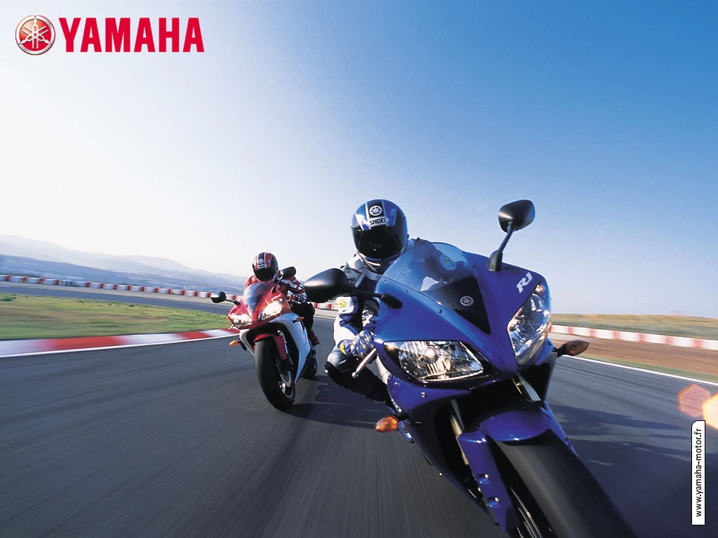 1000 YZF-R1 2002-2003 | image 40