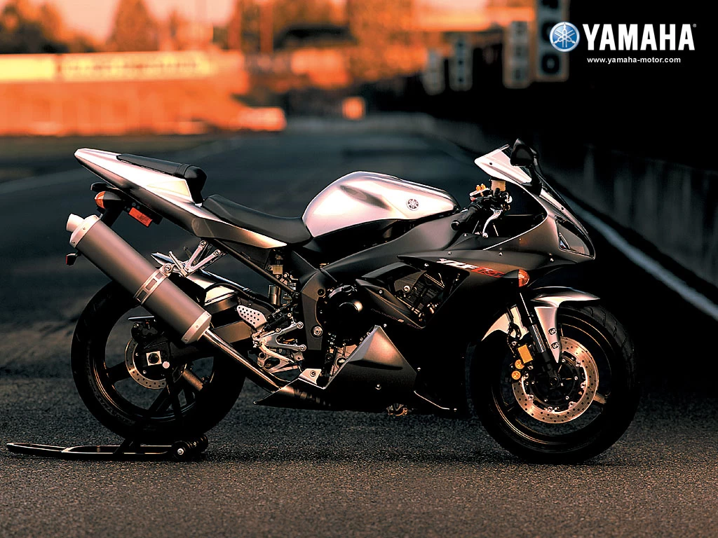 1000 YZF-R1 2002-2003 | image 3