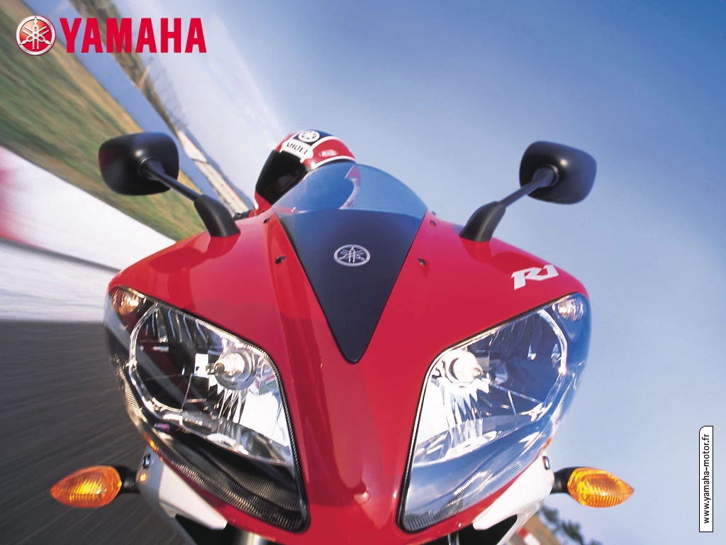 1000 YZF-R1 2002-2003 | image 2