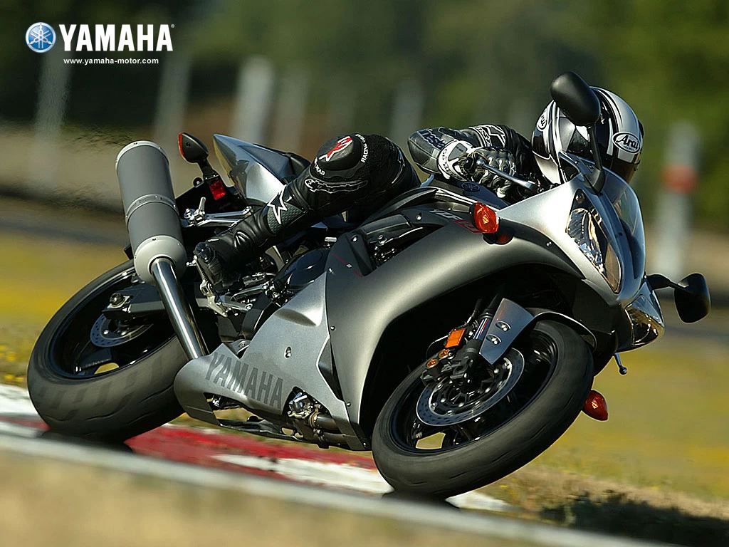 1000 YZF-R1 2002-2003 | image 23