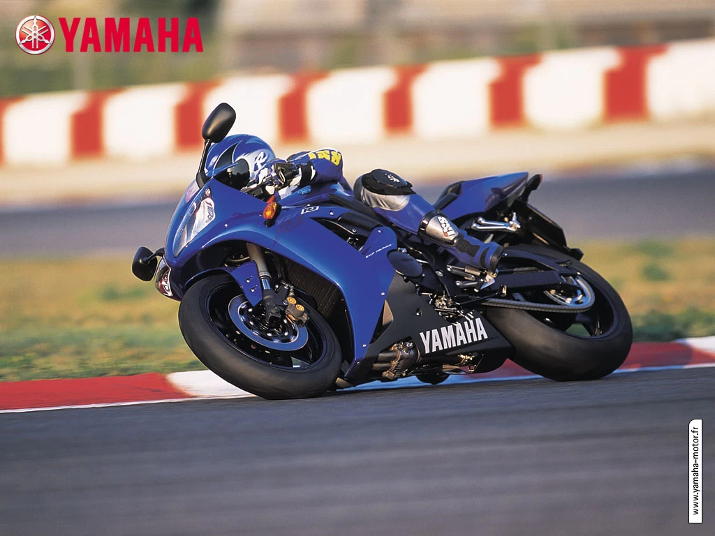 1000 YZF-R1 2002-2003 | image 25