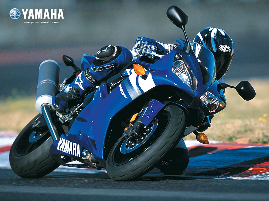 1000 YZF-R1 2002-2003 | image 5