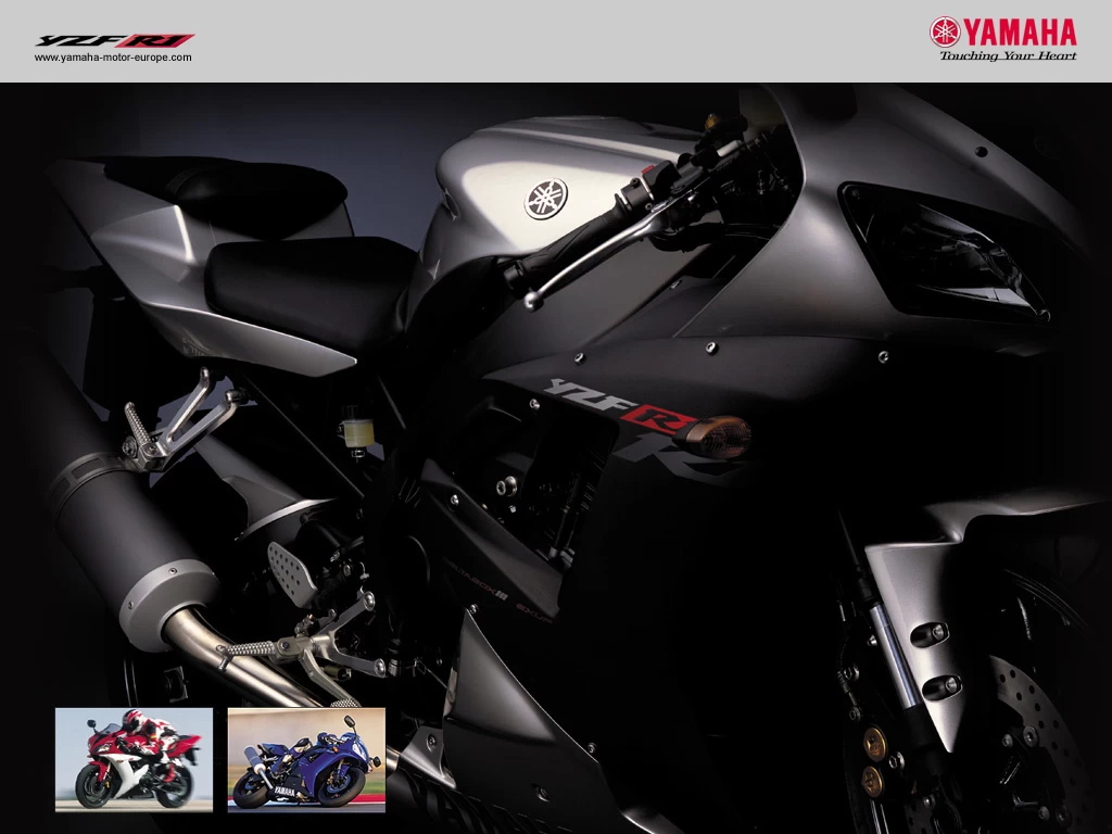 1000 YZF-R1 2002-2003 | image 1