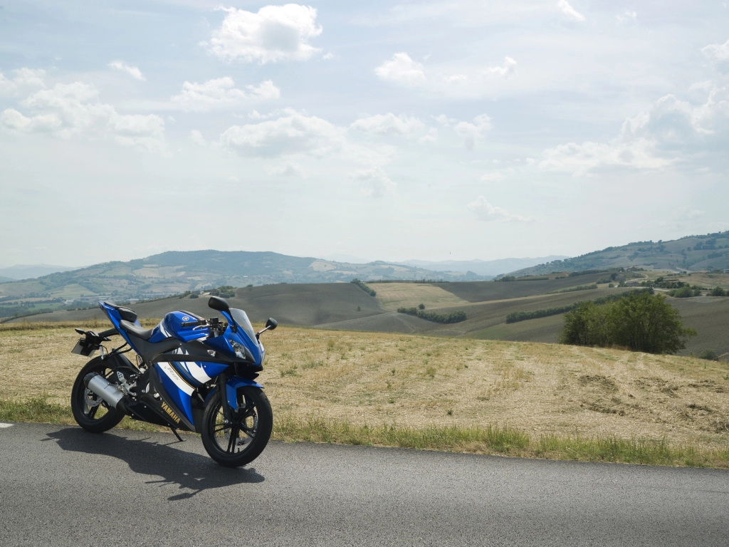 YZF-R 125 | image 3