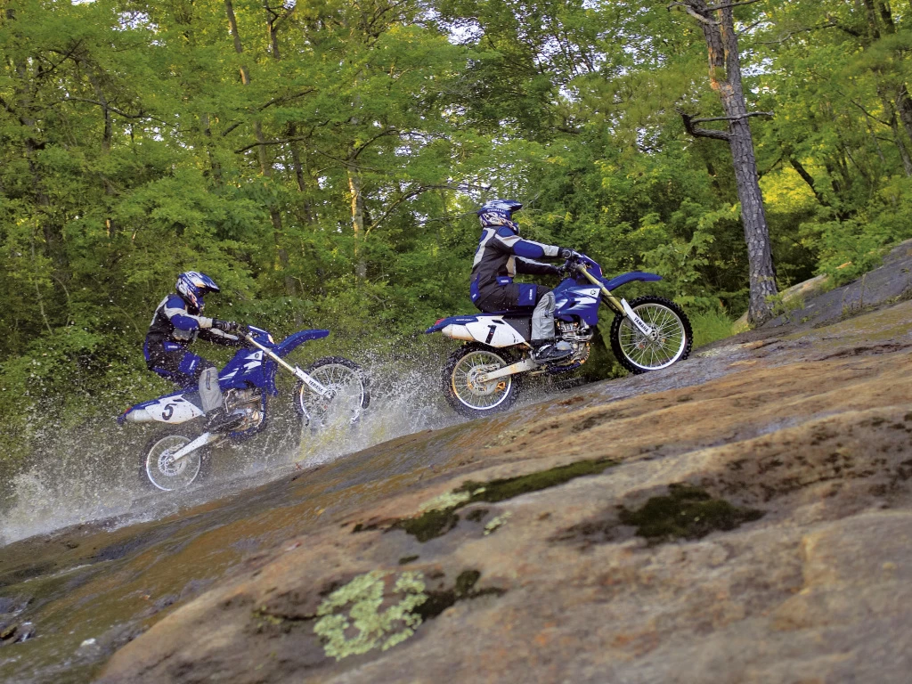 WR 450 F